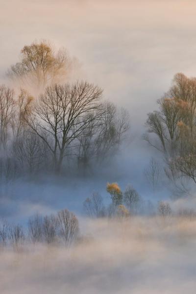 The Adda River shrouded in fog.