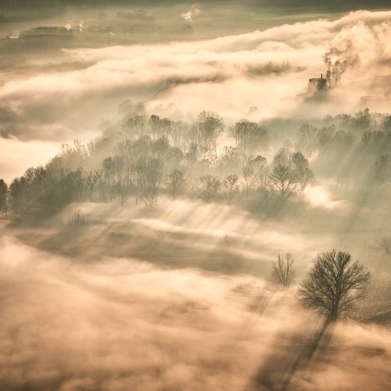 The Adda River shrouded in fog.