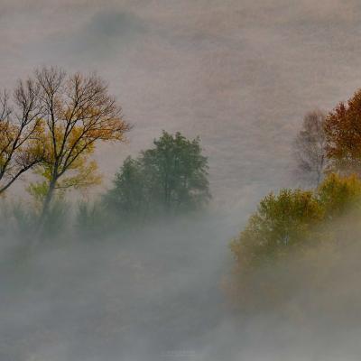 The Adda River shrouded in fog.