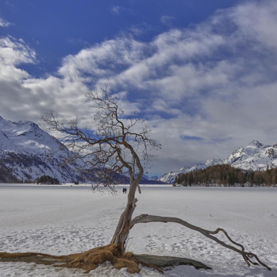 Switzerland's Frozen Lake Sils