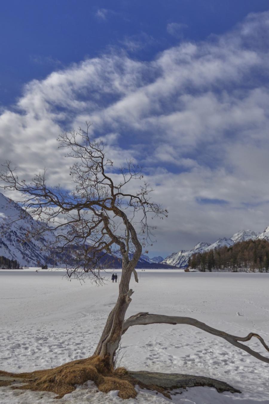 Switzerland's Frozen Lake Sils