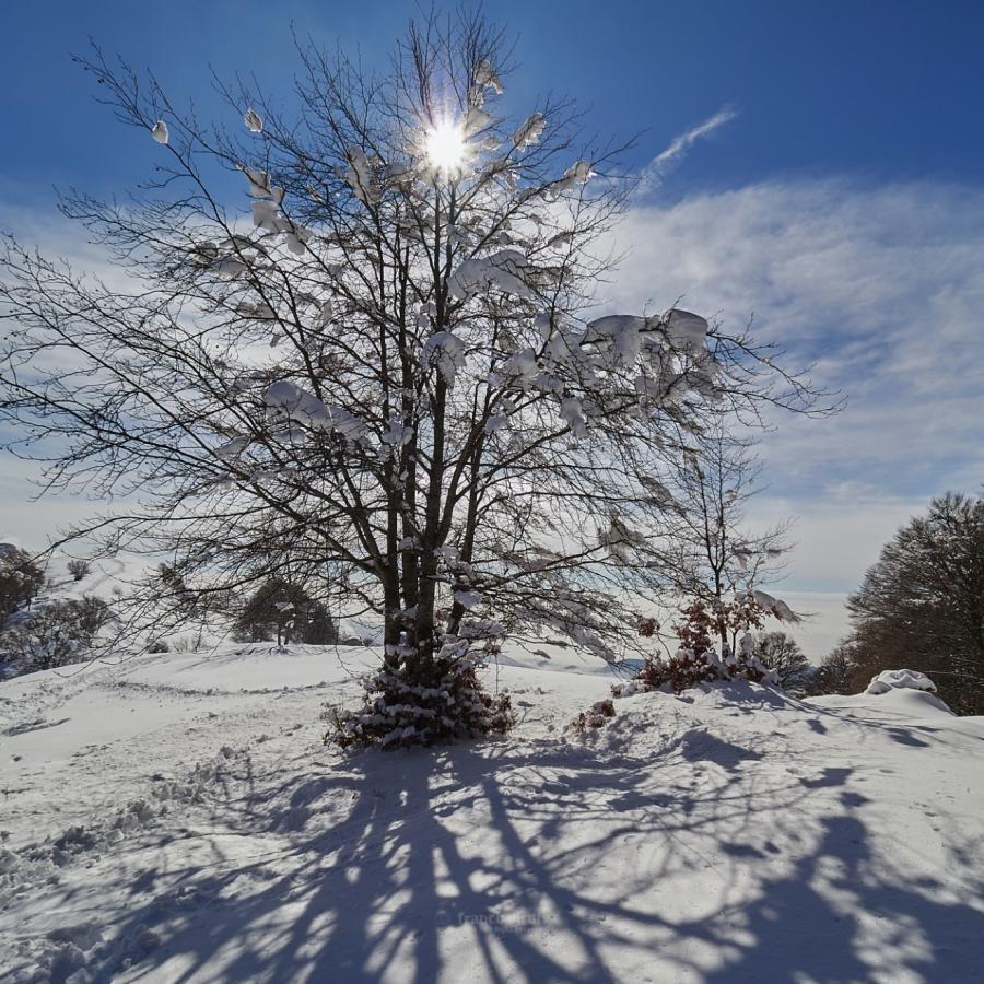 Valcava, which is located in Lecco, Italy.