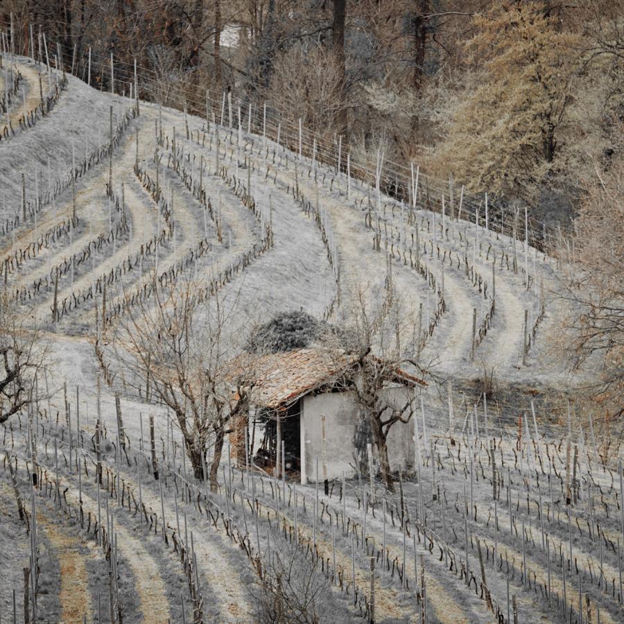 Montevecchia, which is located in Lecco, Italy.