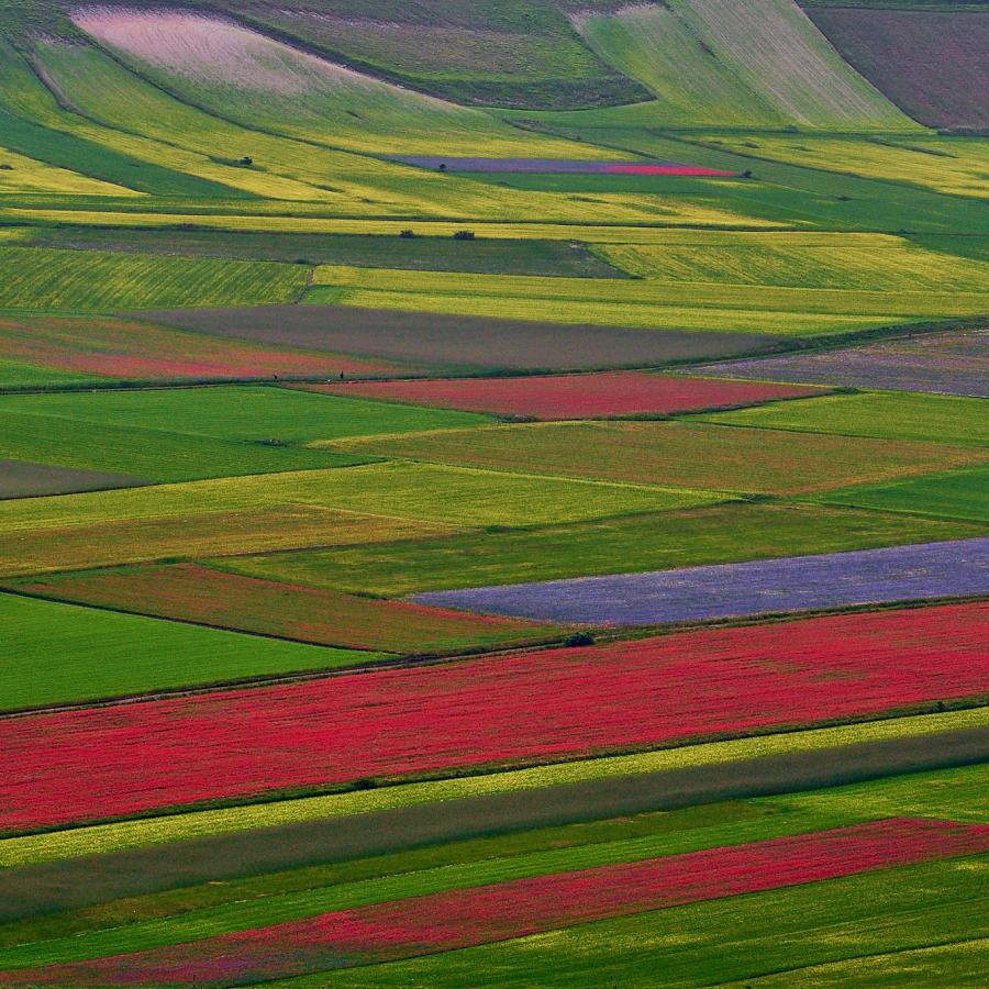  Castelluccio di Norcia. It has many colours.