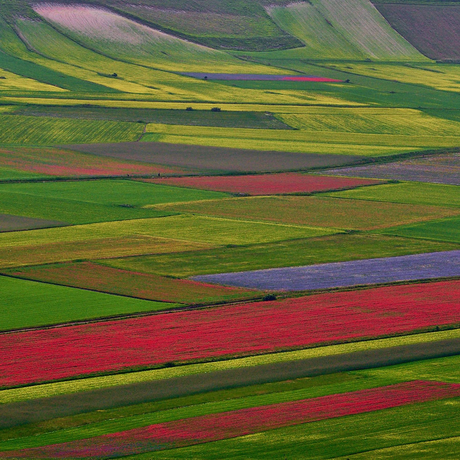  Castelluccio di Norcia. It has many colours.
