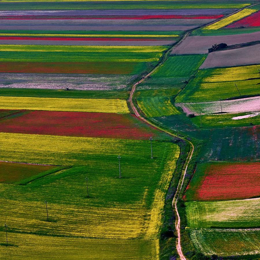Castelluccio di Norcia. It has many colours.