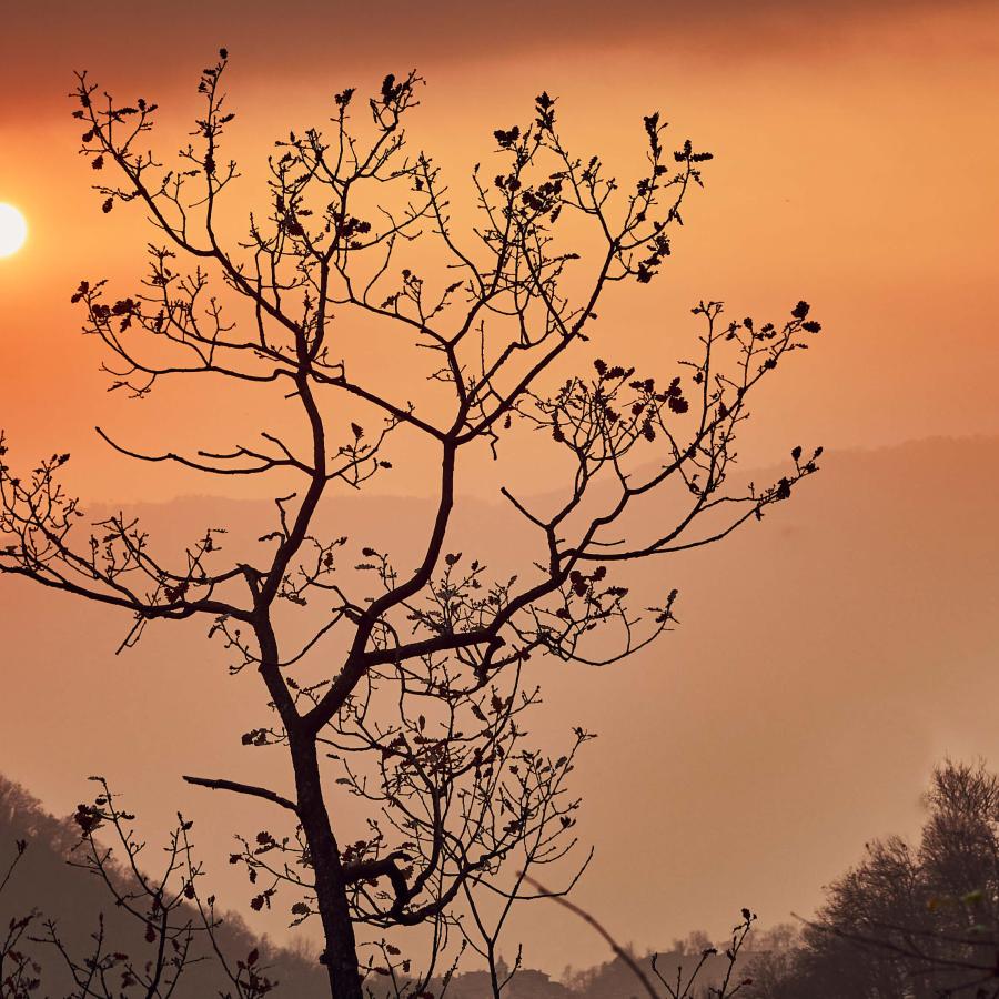 The colours of the sunset are reminiscent of a painting.
