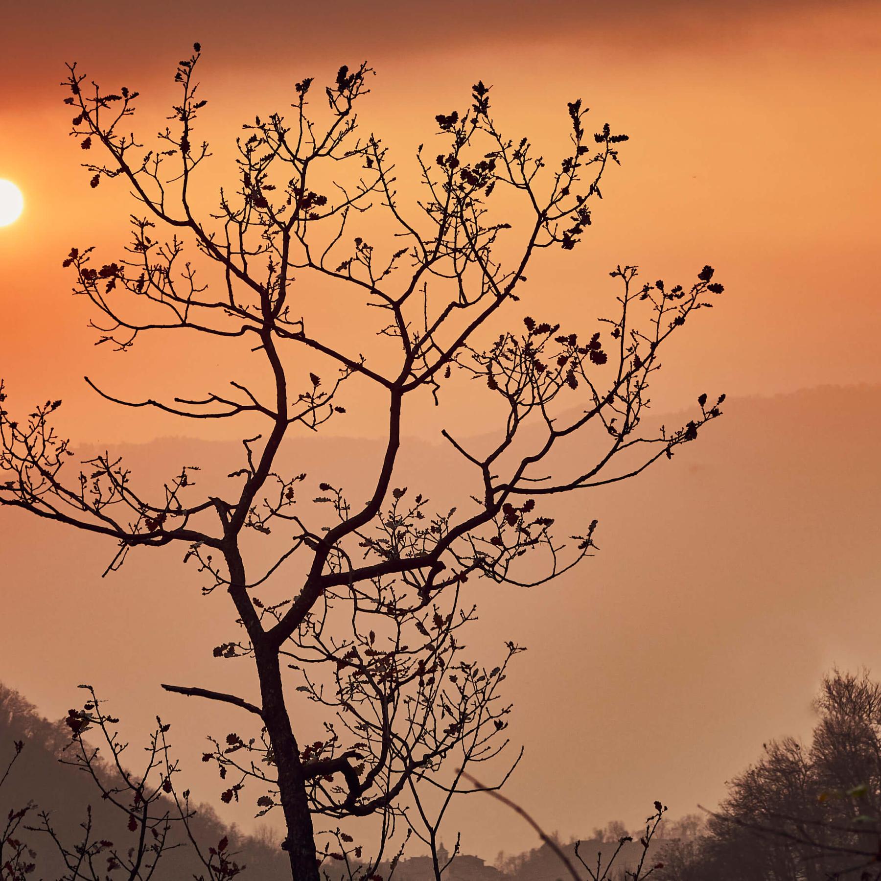 The colours of the sunset are reminiscent of a painting.