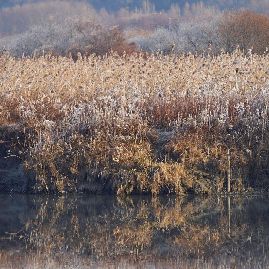 The autumnal palette of the Adda River.
