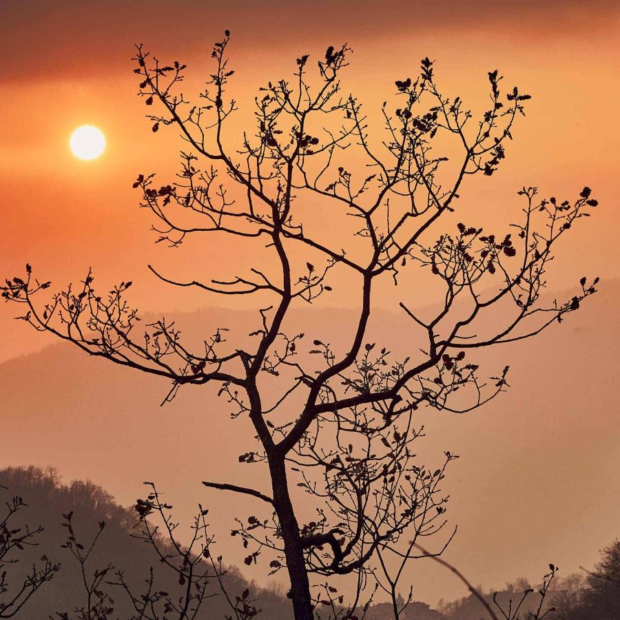 Intimate landscape